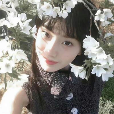 浪漫暴风圈